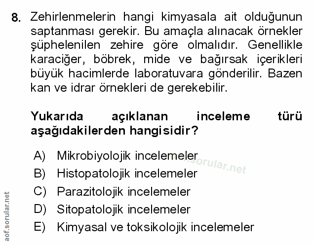 Soru 8