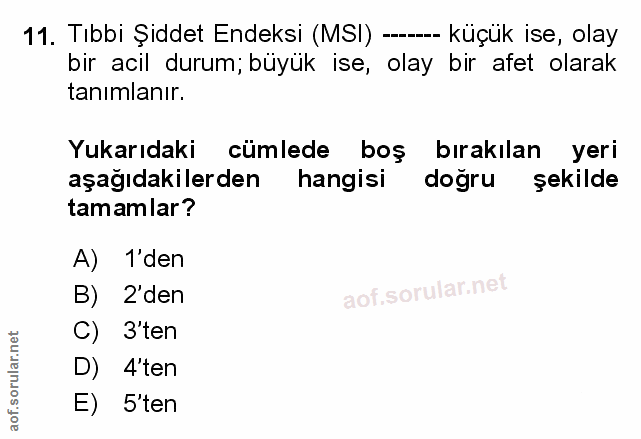 Soru 11