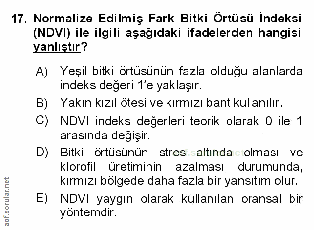 Soru 17