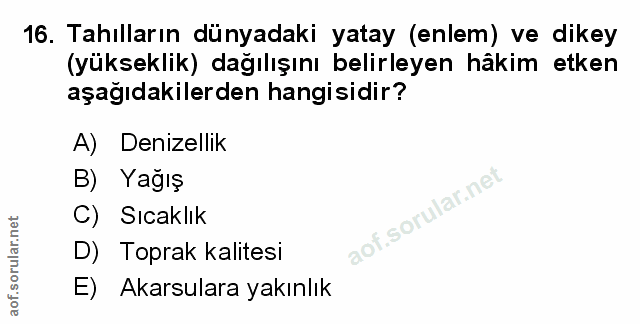 Soru 16