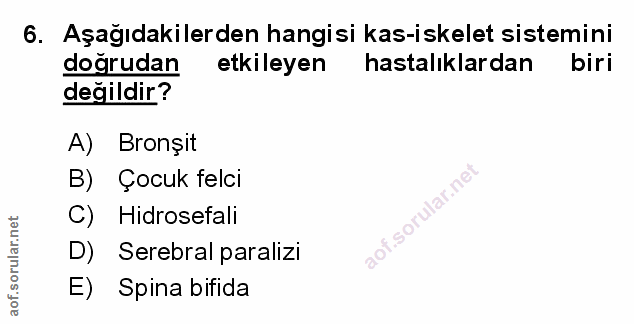 Soru 6