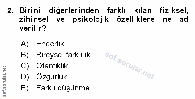 Soru 2