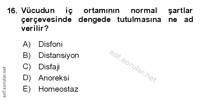 Soru 16