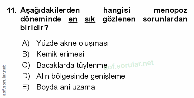 Soru 11