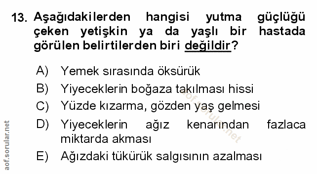 Soru 13