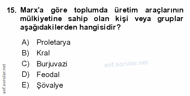 Soru 15