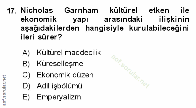 Soru 17