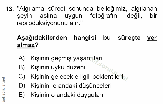 Soru 13