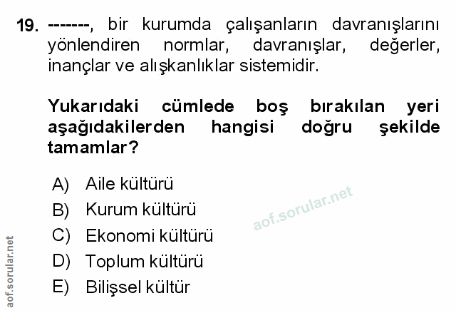 Soru 19
