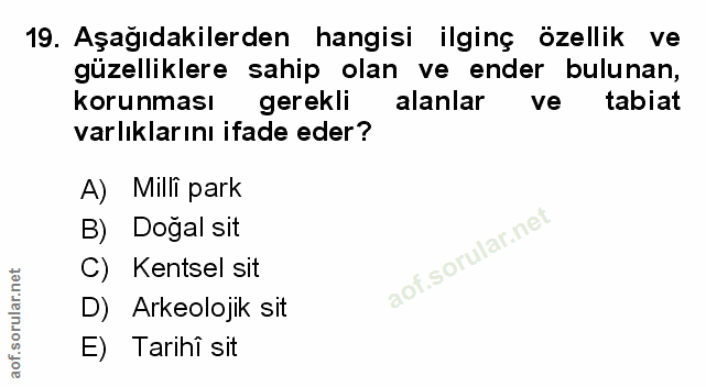 Soru 19