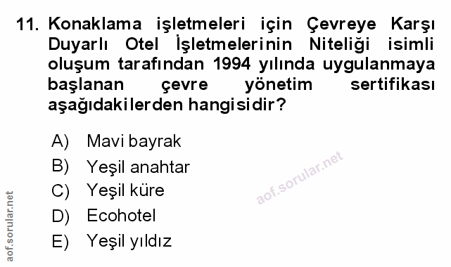 Soru 11