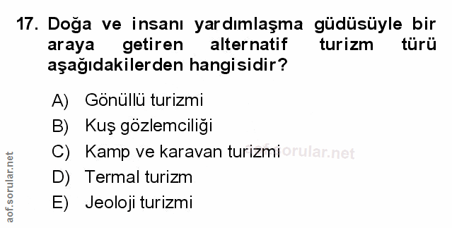 Soru 17