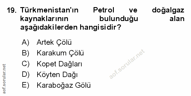 Soru 19