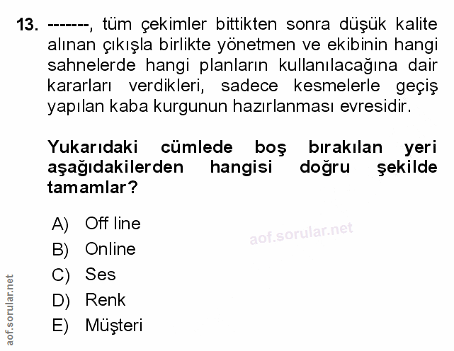 Soru 13