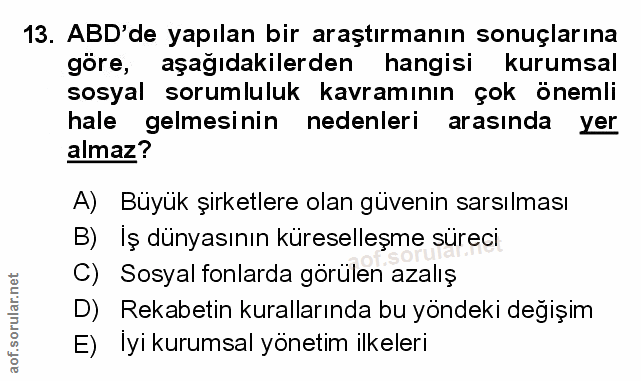 Soru 13