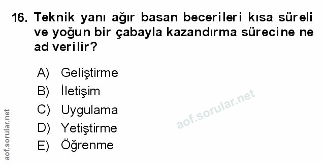 Soru 16