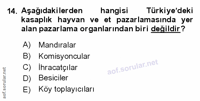 Soru 14