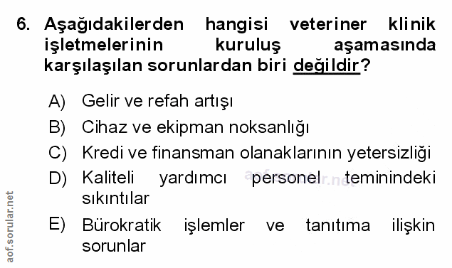 Soru 6