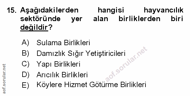 Soru 15
