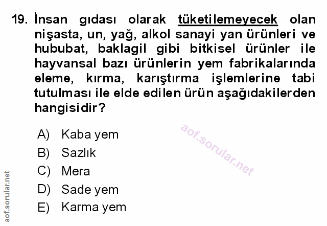 Soru 19