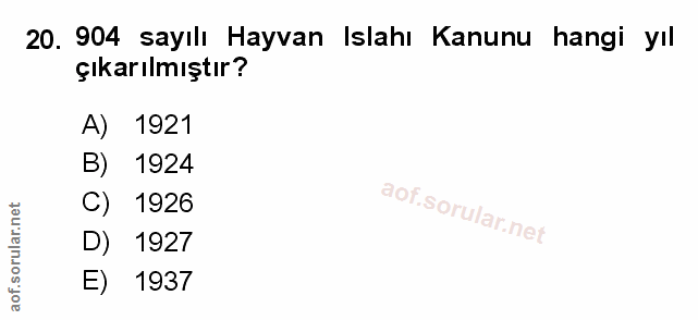 Soru 20