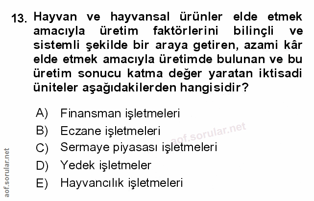Soru 13