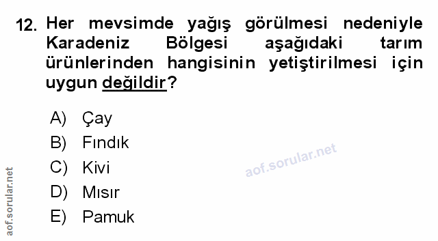 Soru 12