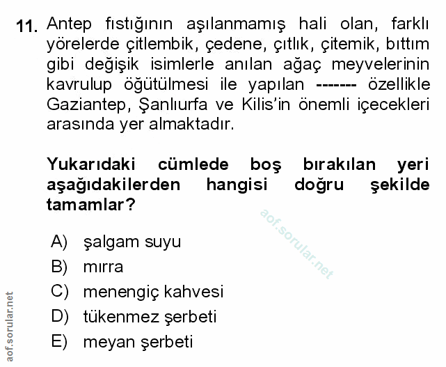 Soru 11