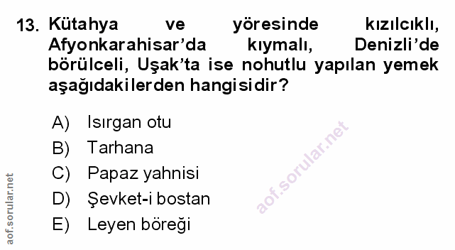 Soru 13