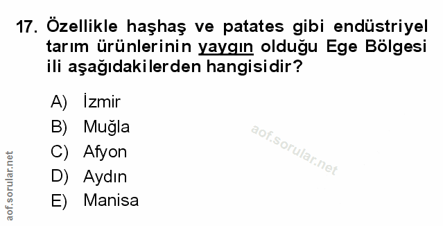 Soru 17
