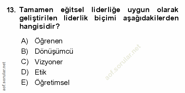 Soru 13