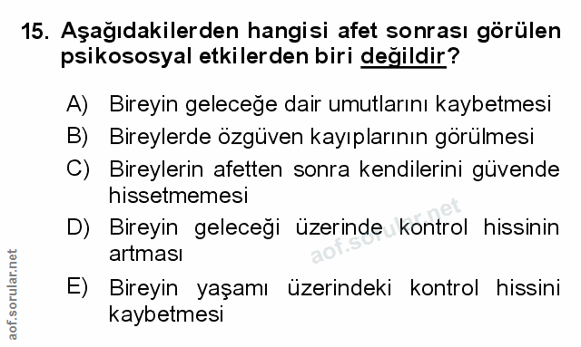 Soru 15