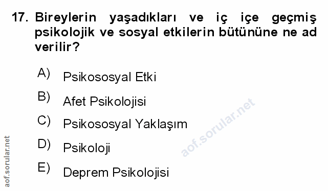 Soru 17