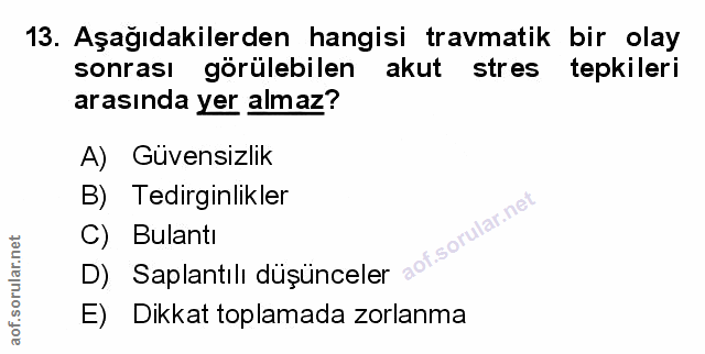 Soru 13