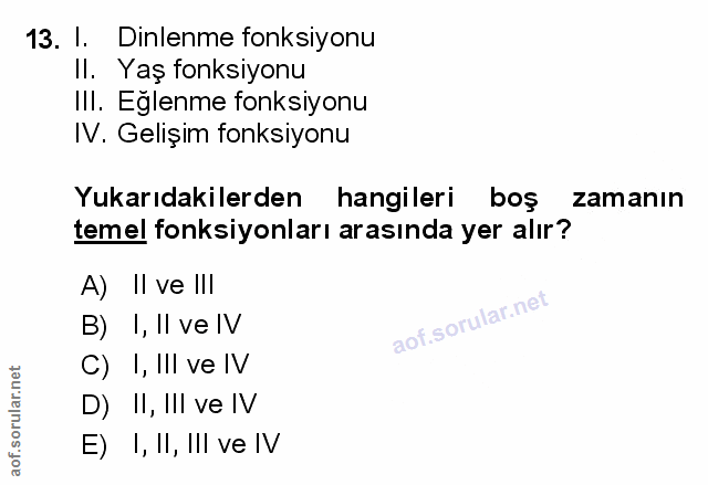 Soru 13