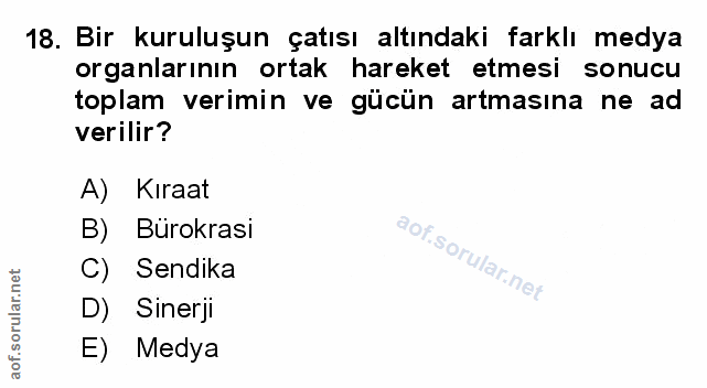 Soru 18