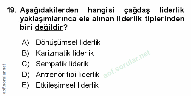 Soru 19