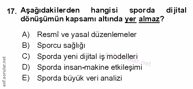 Soru 17