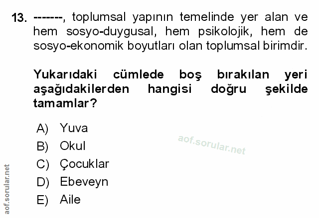 Soru 13