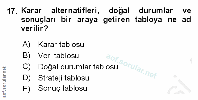 Soru 17