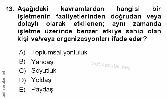Soru 13