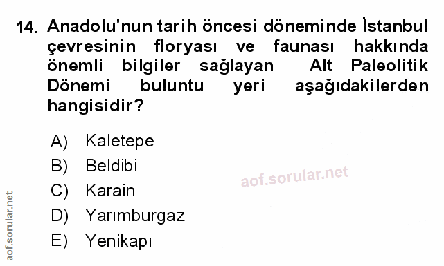 Soru 14