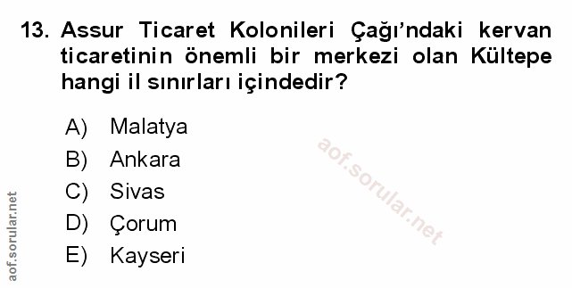 Soru 13