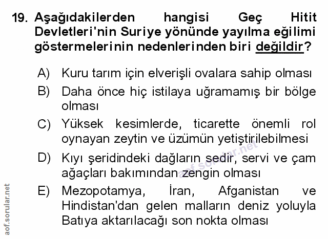 Soru 19