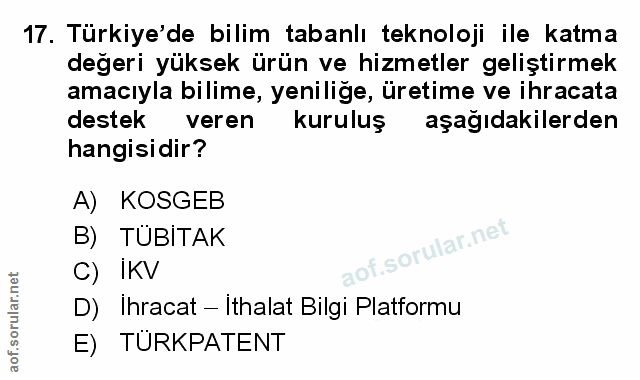 Soru 17