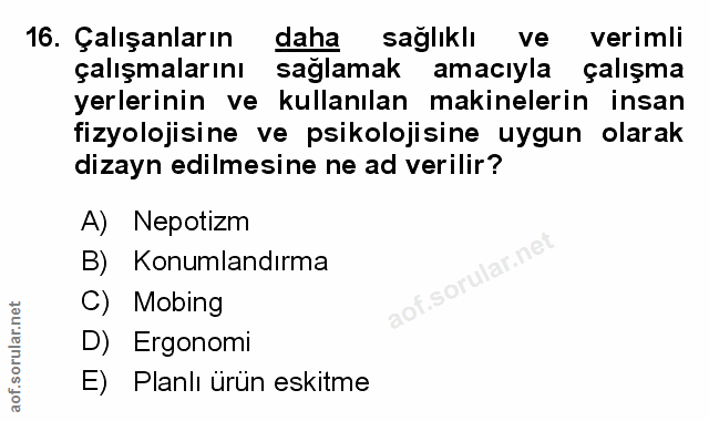 Soru 16
