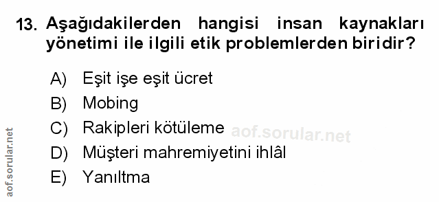 Soru 13