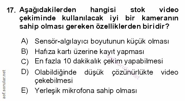 Soru 17