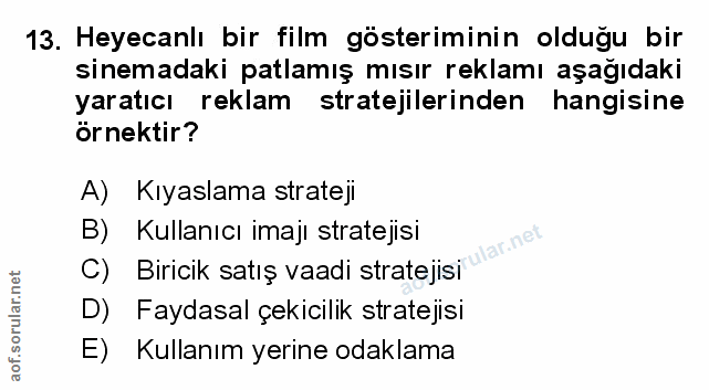 Soru 13