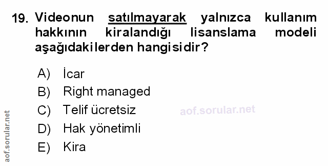 Soru 19